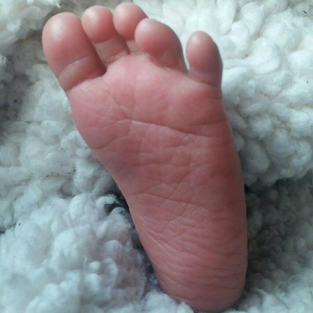 Meet your Posher, Khadijah